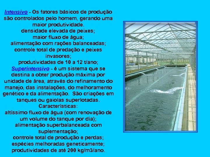 Intensivo - Os fatores básicos de produção são controlados pelo homem, gerando uma maior