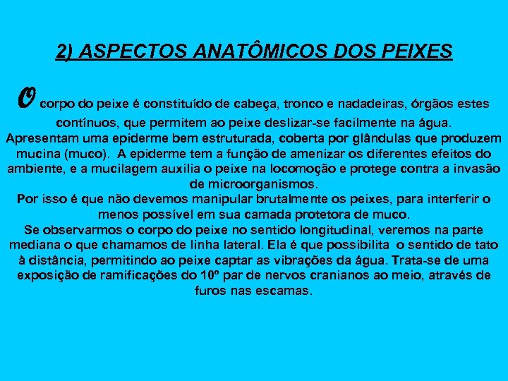 2) ASPECTOS ANATÔMICOS DOS PEIXES O corpo do peixe é constituído de cabeça, tronco