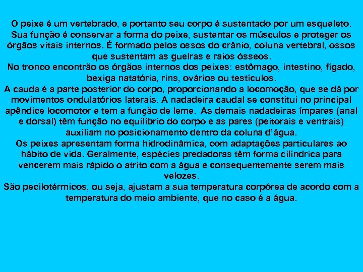 O peixe é um vertebrado, e portanto seu corpo é sustentado por um esqueleto.