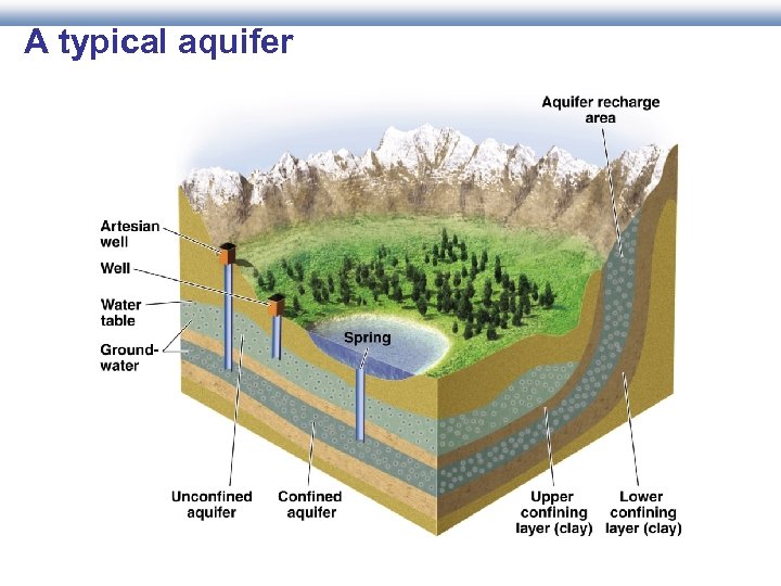 A typical aquifer 