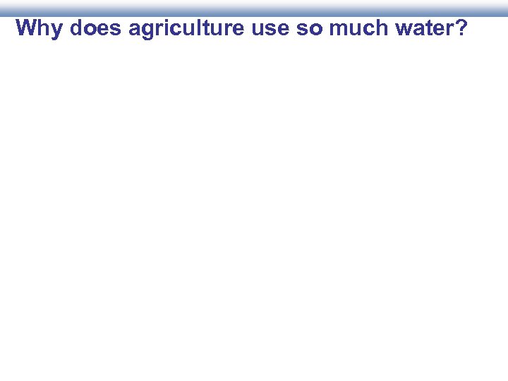 Why does agriculture use so much water? 