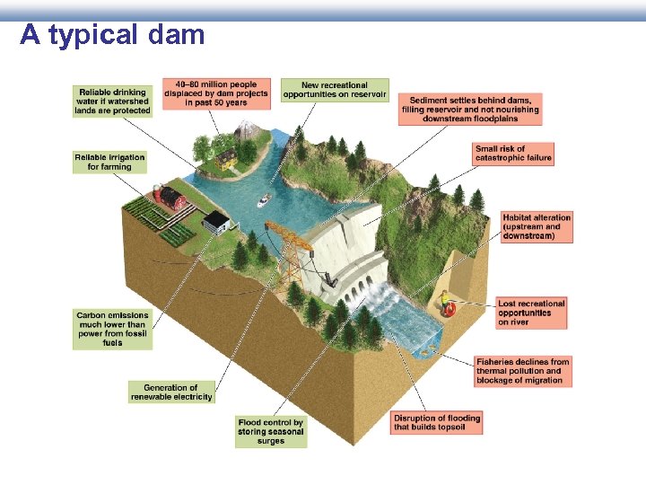 A typical dam 