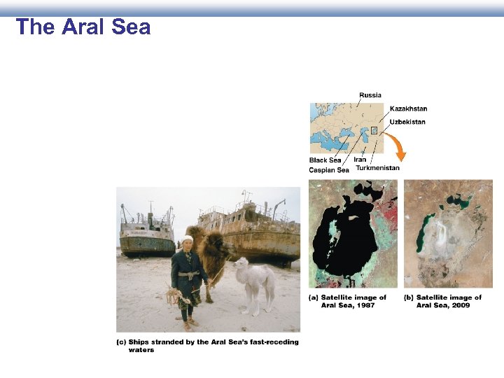 The Aral Sea 