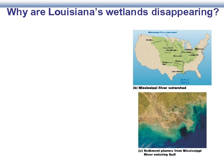 Why are Louisiana’s wetlands disappearing? 