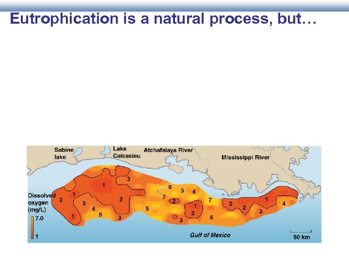 Eutrophication is a natural process, but… 