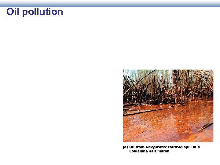 Oil pollution 