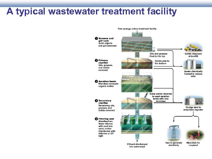 A typical wastewater treatment facility 