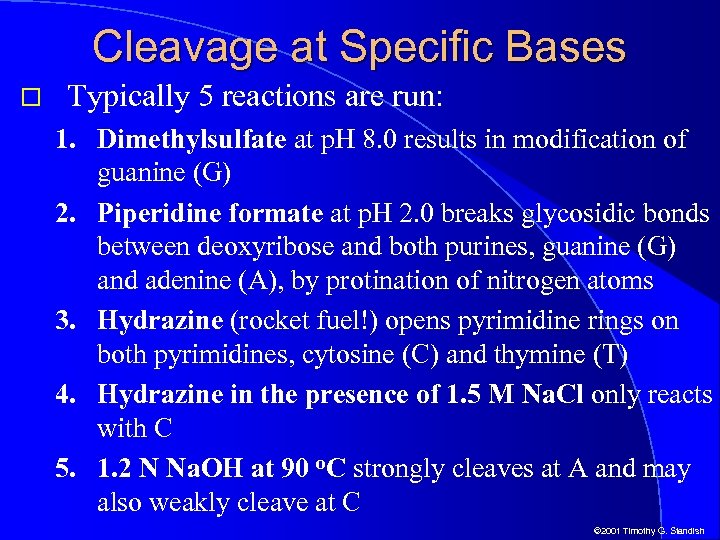 Cleavage at Specific Bases Typically 5 reactions are run: 1. Dimethylsulfate at p. H