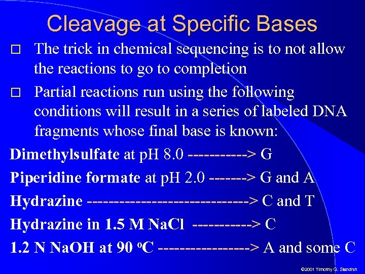 Cleavage at Specific Bases The trick in chemical sequencing is to not allow the