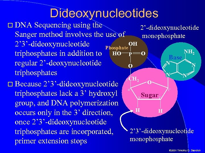  DNA Dideoxynucleotides Sequencing using the 2’-dideoxynucleotide Sanger method involves the use of monophosphate