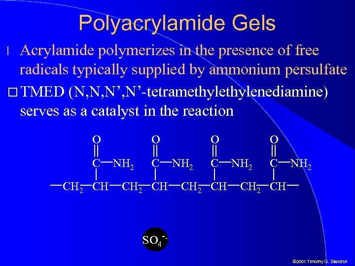 Polyacrylamide Gels Acrylamide polymerizes in the presence of free radicals typically supplied by ammonium