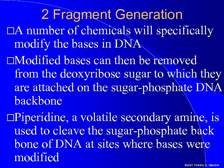 2 Fragment Generation A number of chemicals will specifically modify the bases in DNA