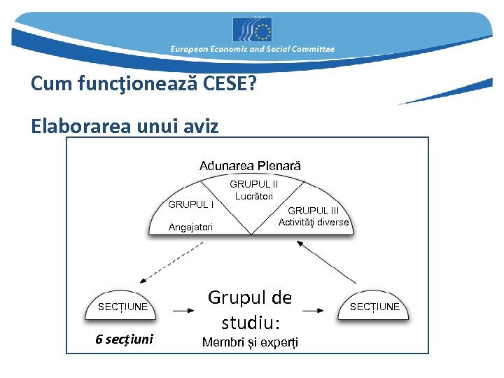 Cum funcţionează CESE? Elaborarea unui aviz Adunarea Plenară GRUPUL I Angajatori SECȚIUNE 6 secțiuni