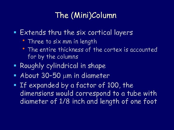 The (Mini)Column § Extends thru the six cortical layers • Three to six mm