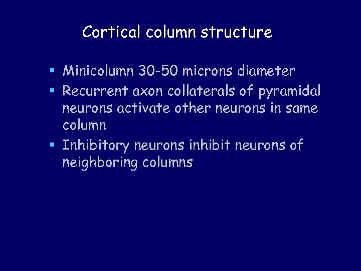 Cortical column structure § Minicolumn 30 -50 microns diameter § Recurrent axon collaterals of
