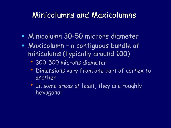 Minicolumns and Maxicolumns § Minicolumn 30 -50 microns diameter § Maxicolumn – a contiguous