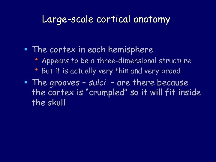 Large-scale cortical anatomy § The cortex in each hemisphere • Appears to be a