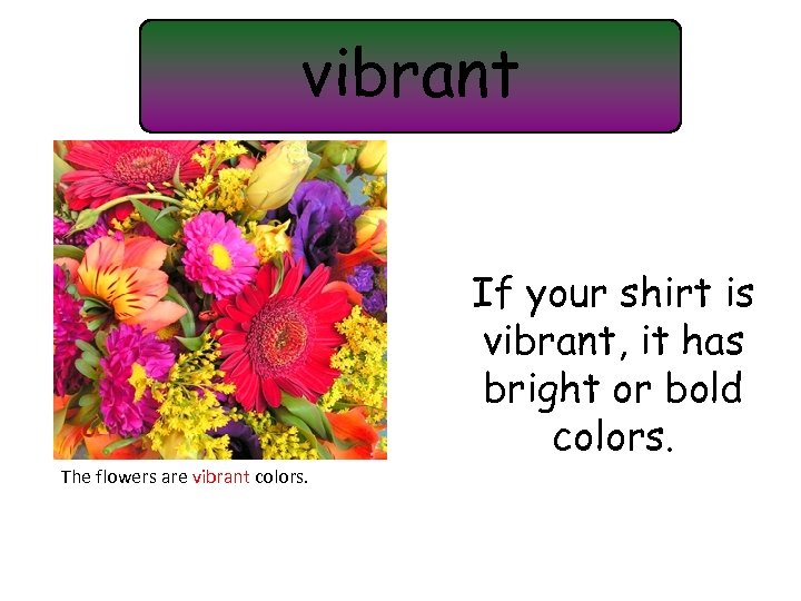 vibrant If your shirt is vibrant, it has bright or bold colors. The flowers