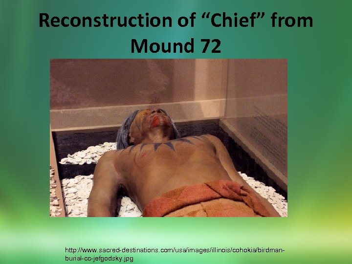 Reconstruction of “Chief” from Mound 72 http: //www. sacred-destinations. com/usa/images/illinois/cohokia/birdmanburial-cc-jefgodsky. jpg 