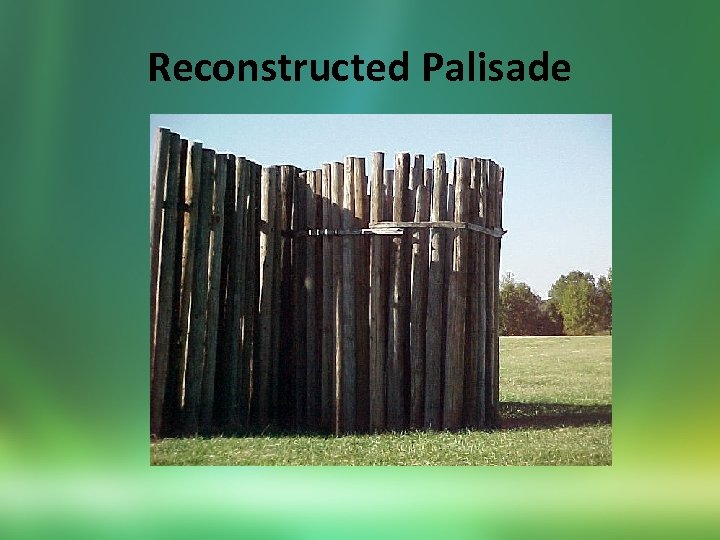 Reconstructed Palisade 