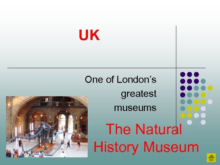 UK One of London’s greatest museums The Natural History Museum 