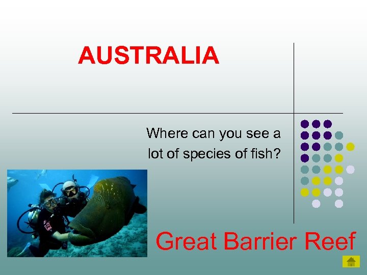 AUSTRALIA Where can you see a lot of species of fish? Great Barrier Reef