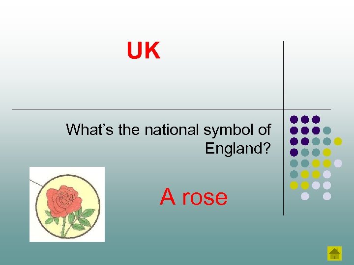 UK What’s the national symbol of England? A rose 