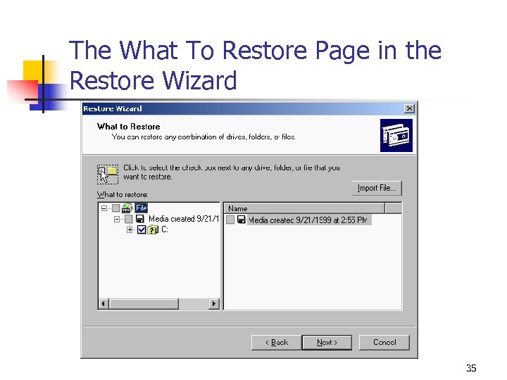 The What To Restore Page in the Restore Wizard 35 