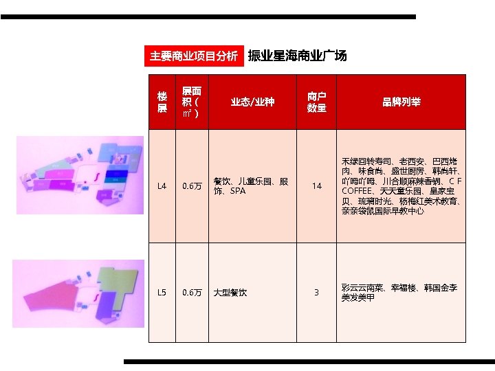 主要商业项目分析 振业星海商业广场 楼 层 层面 积（ ㎡） 业态/业种 商户 数量 品牌列举 L 4 0.