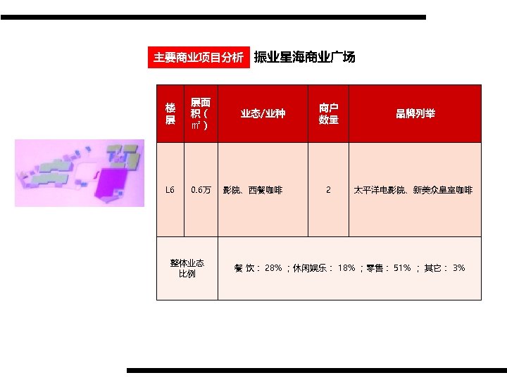 主要商业项目分析 振业星海商业广场 楼 层 层面 积（ ㎡） L 6 0. 6万 整体业态 比例 业态/业种