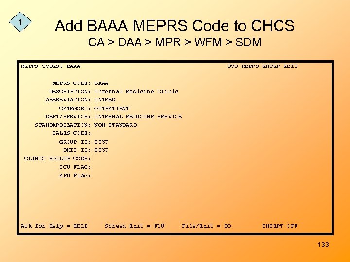1 Add BAAA MEPRS Code to CHCS CA > DAA > MPR > WFM