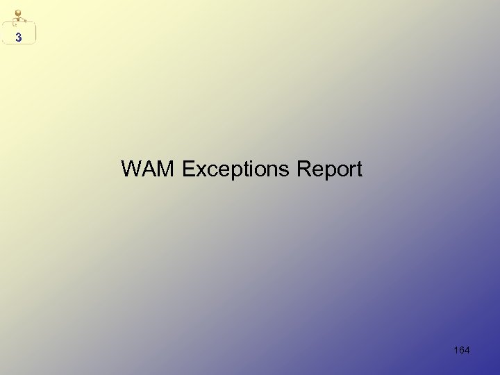 3 WAM Exceptions Report 164 