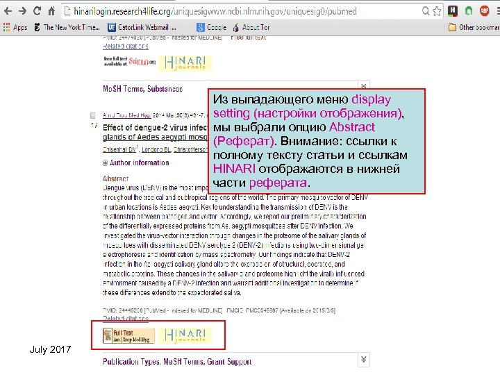 Из выпадающего меню display setting (настройки отображения), мы выбрали опцию Abstract (Реферат). Внимание: ссылки