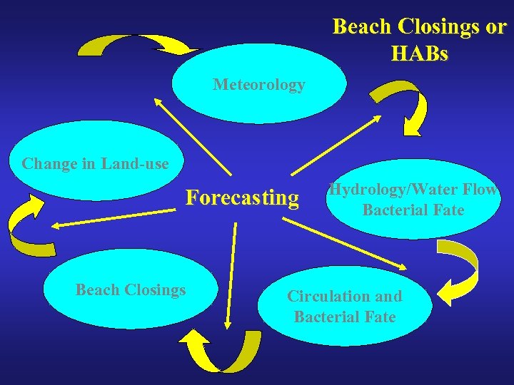 Beach Closings or HABs Meteorology Change in Land-use Forecasting Beach Closings Hydrology/Water Flow Bacterial