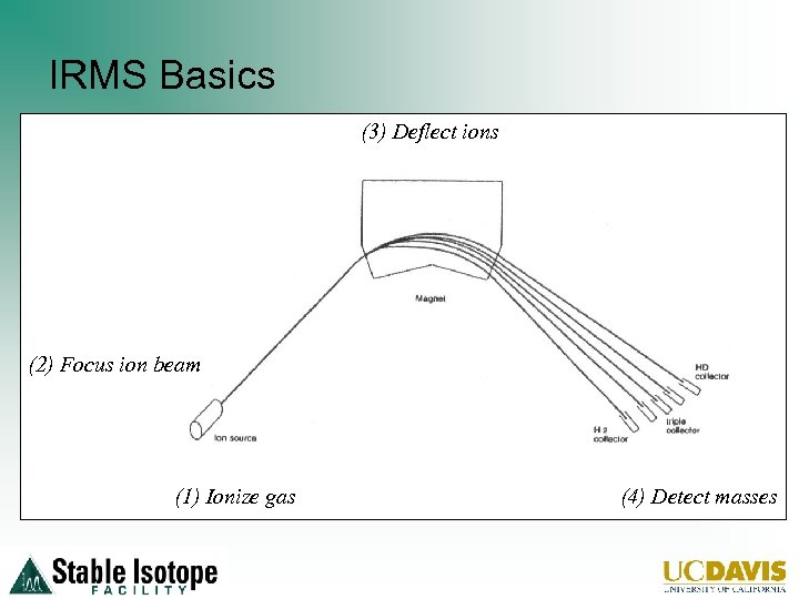 IRMS Basics (3) Deflect ions (2) Focus ion beam (1) Ionize gas (4) Detect