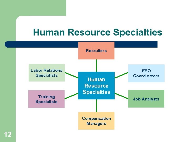 Human Resource Specialties Recruiters Labor Relations Specialists Training Specialists Human Resource Specialties Job Analysts