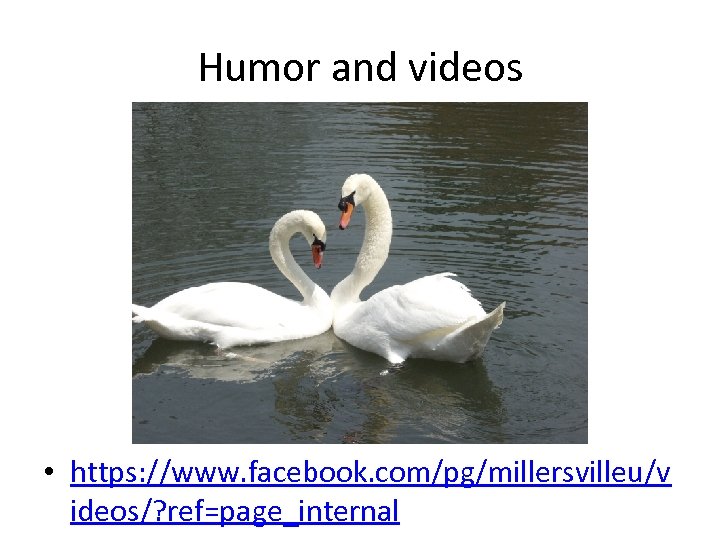 Humor and videos • https: //www. facebook. com/pg/millersvilleu/v ideos/? ref=page_internal 
