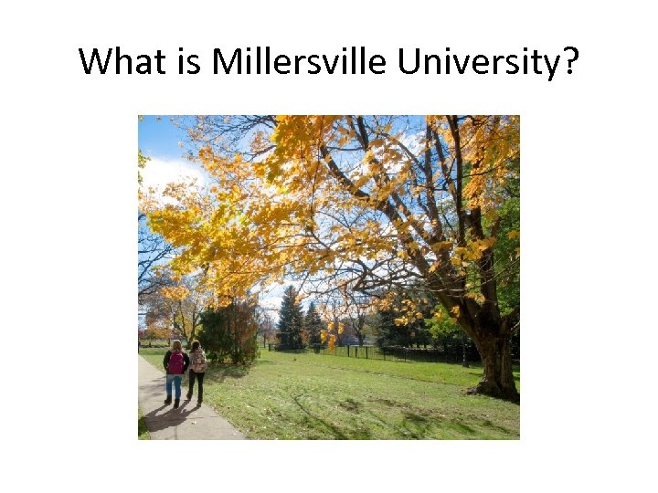 What is Millersville University? 