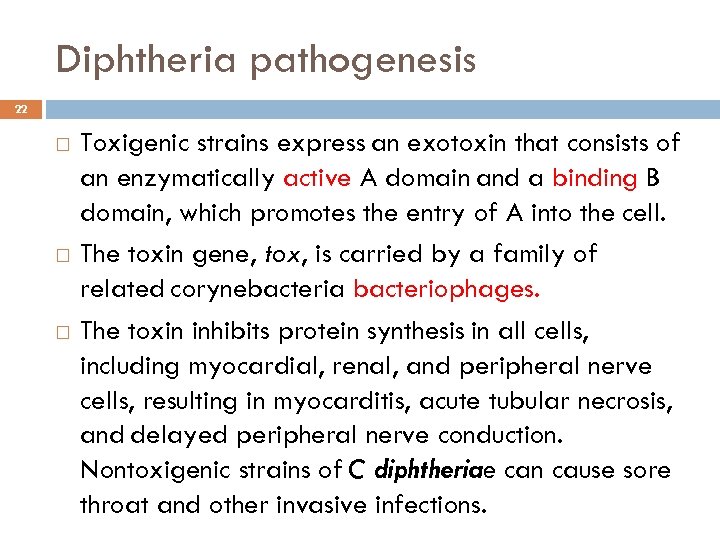 Diphtheria pathogenesis 22 Toxigenic strains express an exotoxin that consists of an enzymatically active