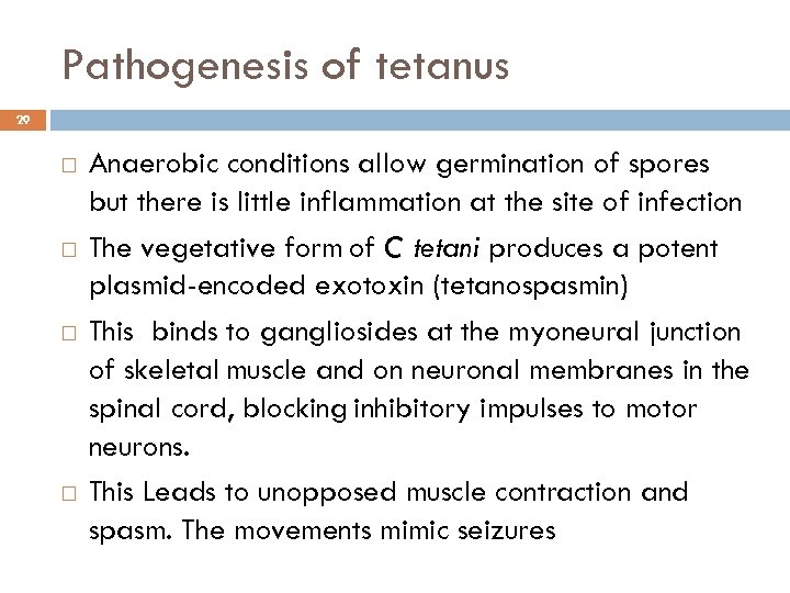 Pathogenesis of tetanus 29 Anaerobic conditions allow germination of spores but there is little