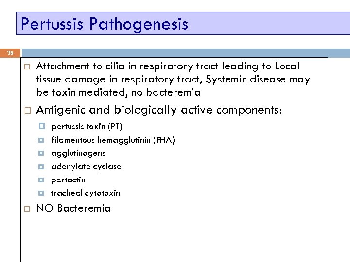 Pertussis Pathogenesis 35 Attachment to cilia in respiratory tract leading to Local tissue damage