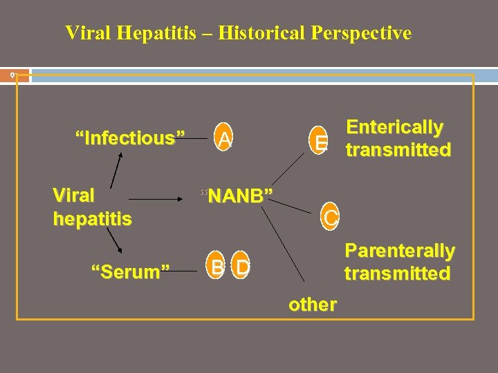 Viral Hepatitis – Historical Perspective 91 “Infectious” Viral hepatitis “Serum” A “NANB” Enterically E