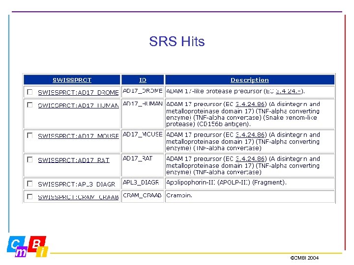 SRS Hits ©CMBI 2004 