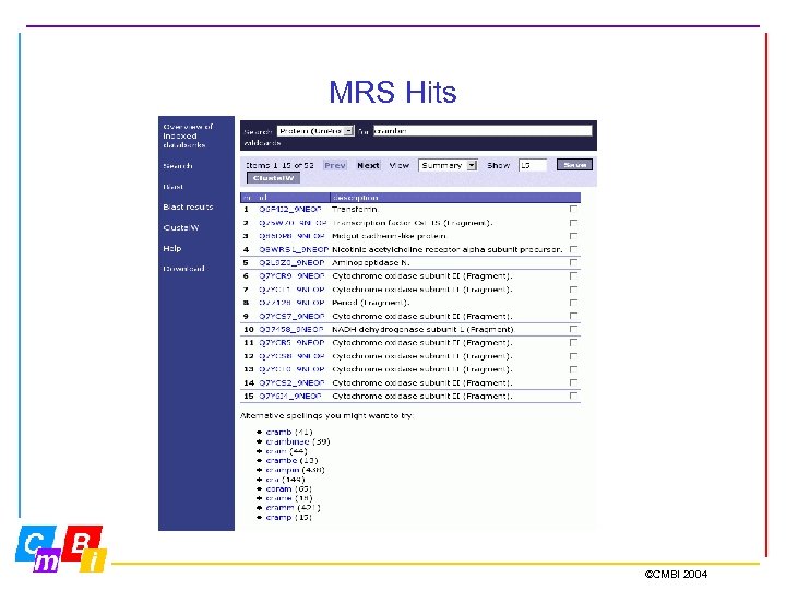 MRS Hits ©CMBI 2004 