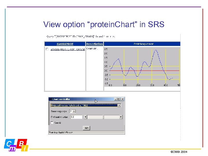 View option “protein. Chart” in SRS ©CMBI 2004 