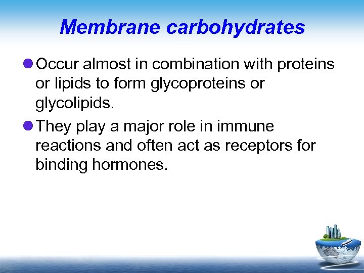 Membrane carbohydrates l Occur almost in combination with proteins or lipids to form glycoproteins