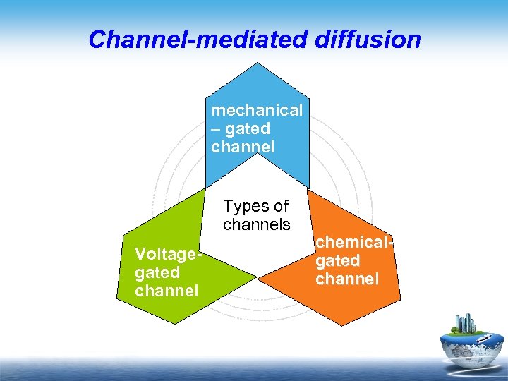 Channel-mediated diffusion mechanical – gated channel Types of channels Voltagegated channel chemicalgated channel 