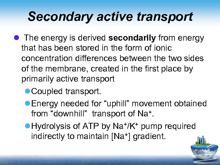 Secondary active transport l The energy is derived secondarily from energy that has been