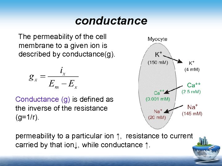 conductance The permeability of the cell membrane to a given ion is described by