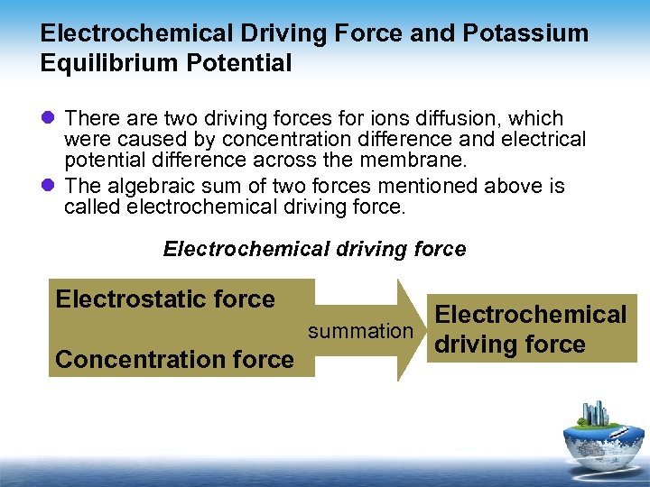 Electrochemical Driving Force and Potassium Equilibrium Potential l There are two driving forces for
